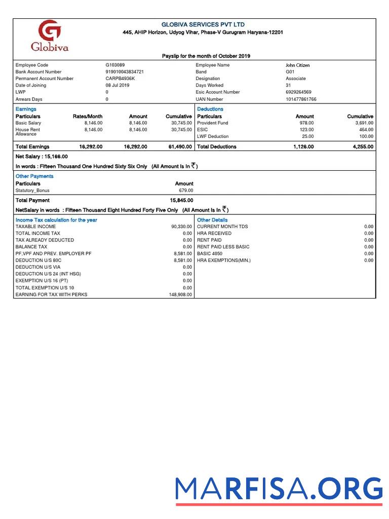 Blank India Globiva Services PVT LTD payslip sample